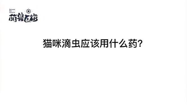 1931次播放2020年11月20日猫咪多久进行一次驱虫?