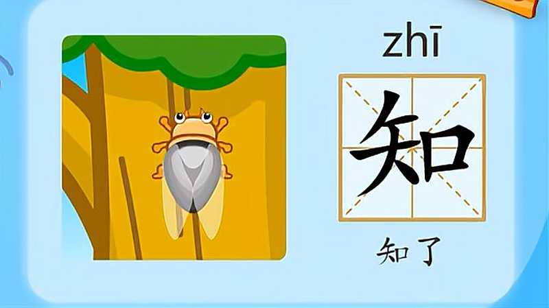 亲宝识字学习汉字知的拼音组词笔画笔顺写法