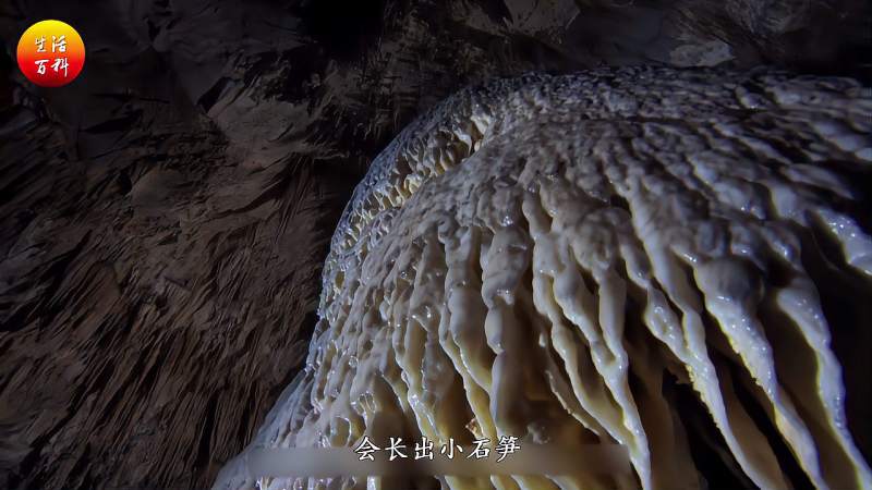 生活百科丨42 石笋是生物吗?,文化,艺术,好看视频