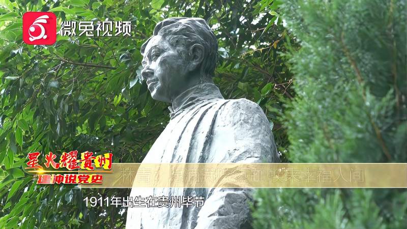 建冲说党史:林青——愿洒满腔热血,换来幸福人间,历史,中国历史,好看视频