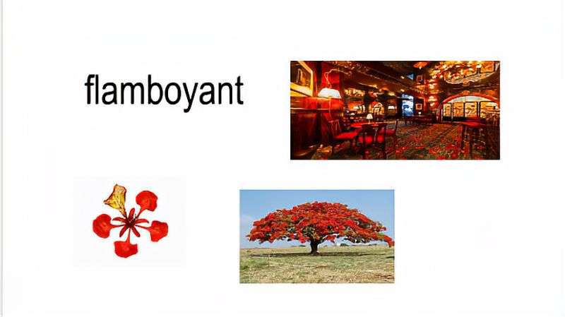 flamboyant是什么意思？,文化,艺术,好看视频