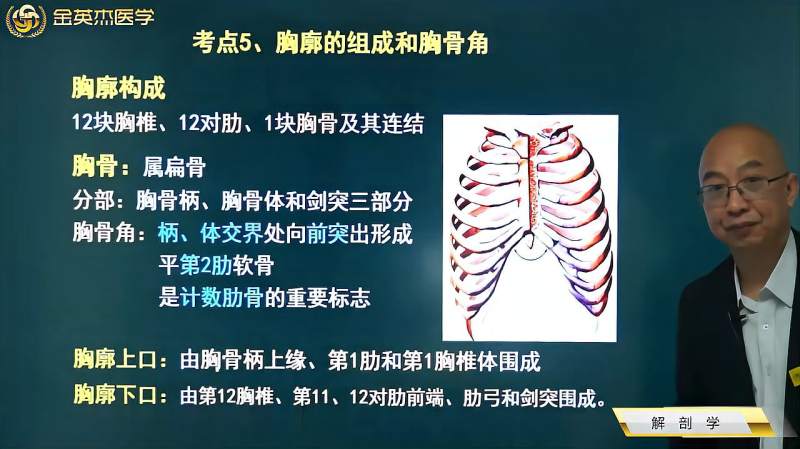 临床解剖学01骨学与关节学05胸廓的组成和胸骨角胸廓上口和下口