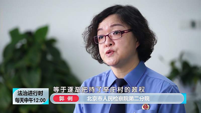 北京扫黑除恶战果:石凤刚黑社会性质组织,社会,法制,好看视频
