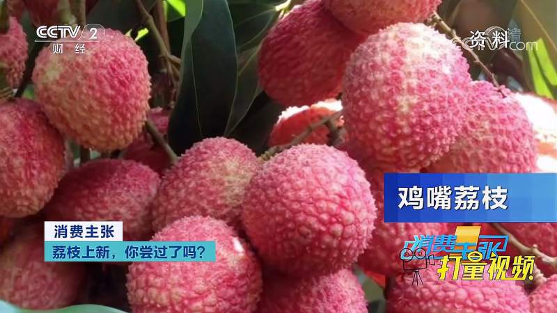 黑叶荔枝、糯米糍荔枝,荔枝种类多样,口感也各有不同|消费主张,美食,美食节目,好看视频