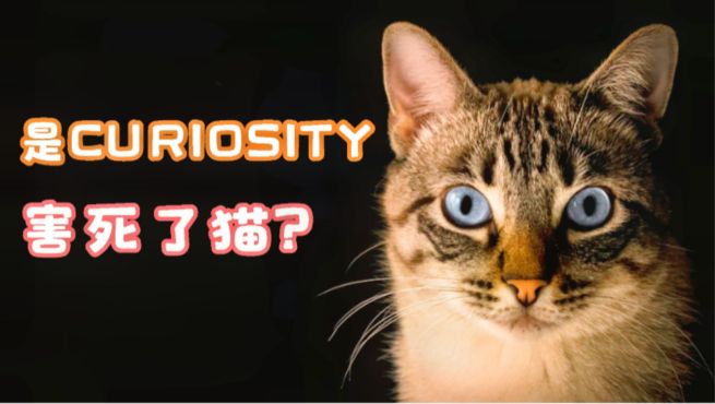 用英语怎么说"好奇害死猫?curiosity kills the cat.mp4