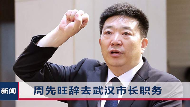 职务调整2日后,周先旺辞去武汉市市长职务,背后原因曝光,时事,地区发展,好看视频