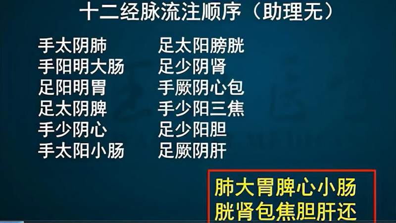 1分钟记住十二经脉流注顺序