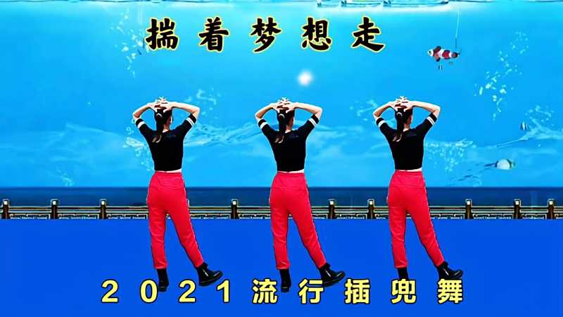 火爆流行插兜舞揣着梦想走潇洒的追求2021愿你梦想成真