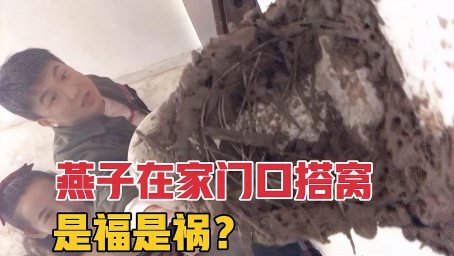 Ff14休闲指南 所有蛮族任务奖励汇总 海量坐骑宠物舞步家具乐谱等你来拿 5 0仙子族 好看视频 Ff14休闲指南 所有蛮族任务奖励汇总 海量坐骑宠物舞步家具乐谱等你来拿 5 0仙子族 好看视频