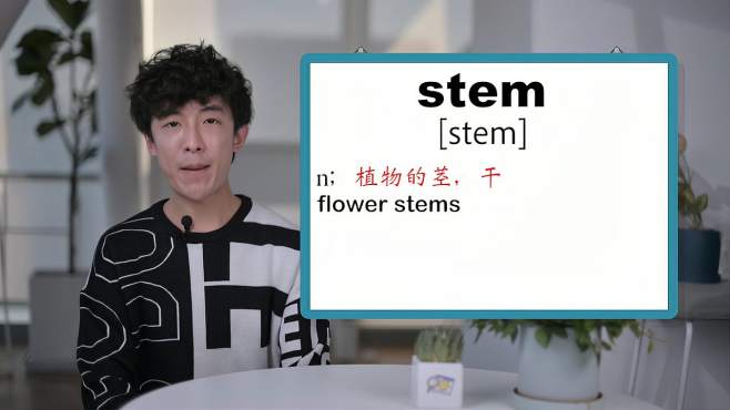 [图]英文单词详解：Stem