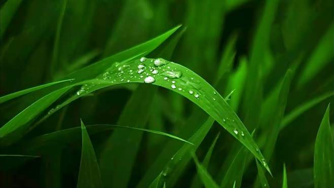 [图]今日雨水，雨水节气就说雨，飞花令关键字雨