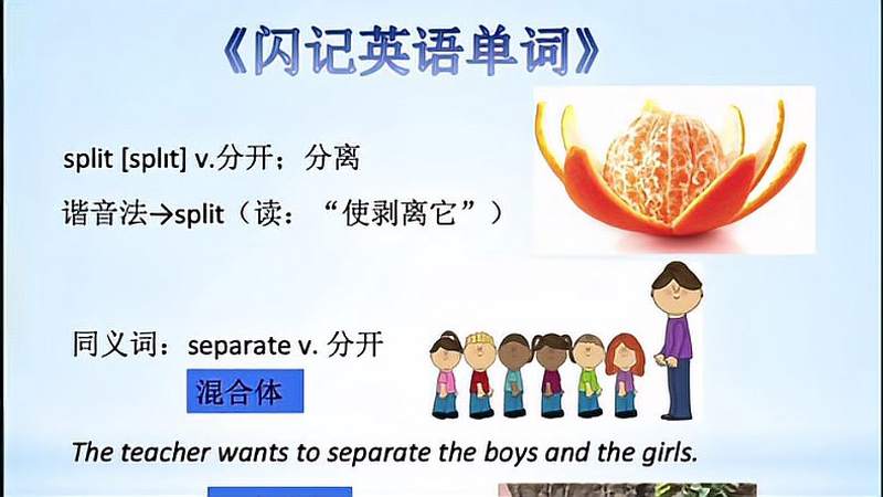 《闪记高考3500词》-split 分开;分离,教育,在线教育,好看视频