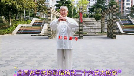 陈氏传统套路84式太极拳 体育 武术 好看视频