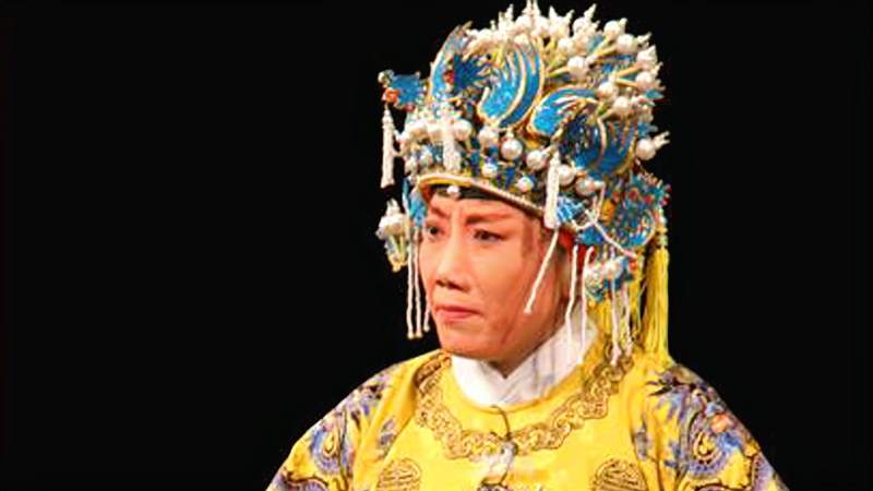 老旦名家蓝文云,京剧《打龙袍》选段,龙车凤辇进皇城,文化,戏曲,好看视频