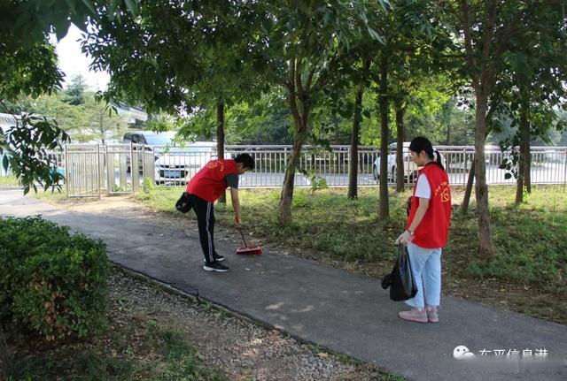 高中社会实践照片图片