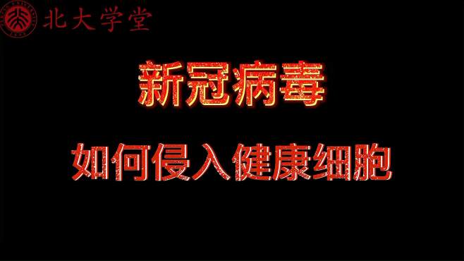 [图]北大老师详解新冠病毒入侵健康细胞全程