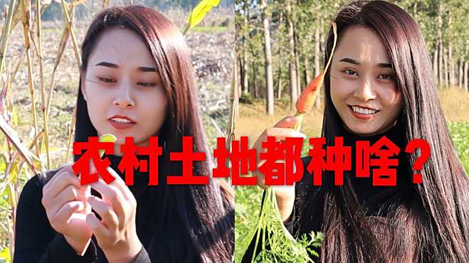 自给自足的乡村生活了解一下