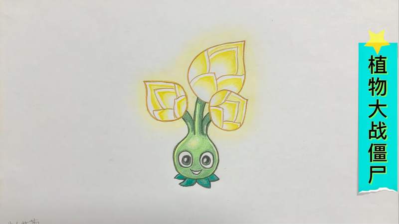 彩铅画植物大战僵尸之黄金蓓蕾