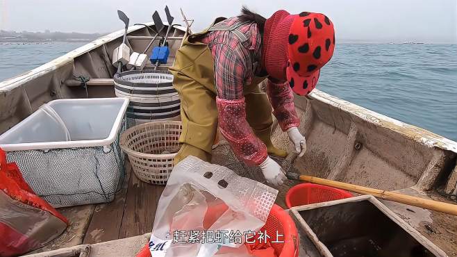赶海的阿雄