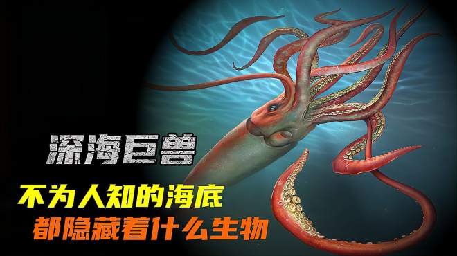 [图]海洋里都有哪些神秘生物？它身藏1700米的海底，以巨型乌贼为食