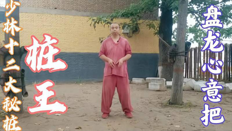 千年少林秘不外传的上乘武学心意把盘龙十二大桩功简单而高深