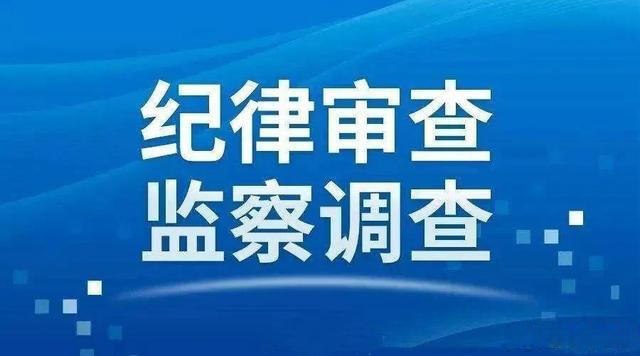 平江县汉昌街道三阳村原党支部书记张够新接受纪律审查和监察调查