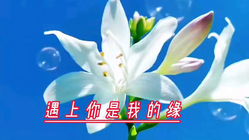 遇上你是我的缘一首很好听的歌送给大家快来听听吧