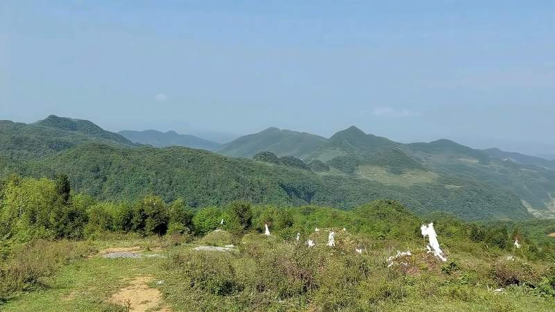 南北山头多墓田清明扫墓亦纷然