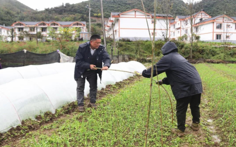 杨盛成:带领乡亲们富起来才是真的富