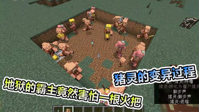 看看猪灵进化过程