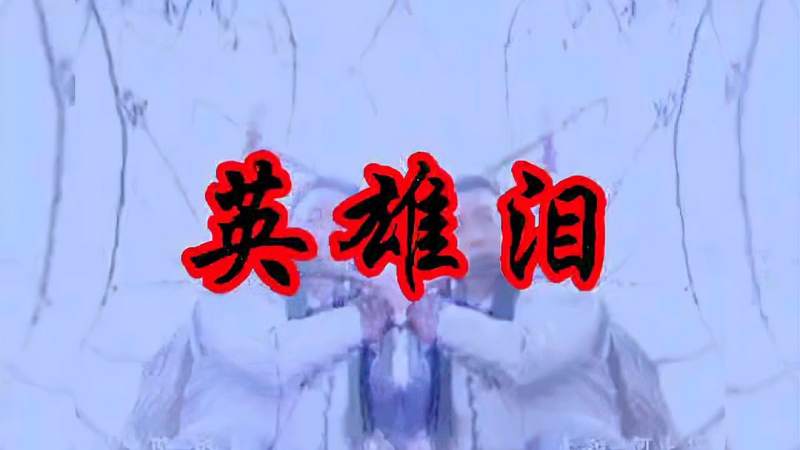 好听的歌曲英雄泪dj