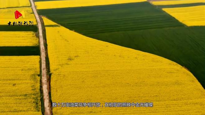 [图]3月看油菜花最佳榜单 这些地方玩转整个春天。