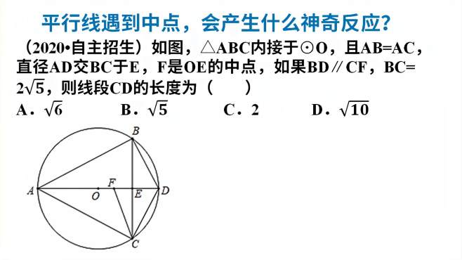 老鹿说数学 好看视频