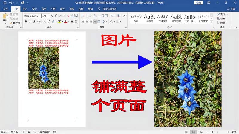 word文档图片铺满整个页面的设置方法,怎样将图片放大充满A4纸