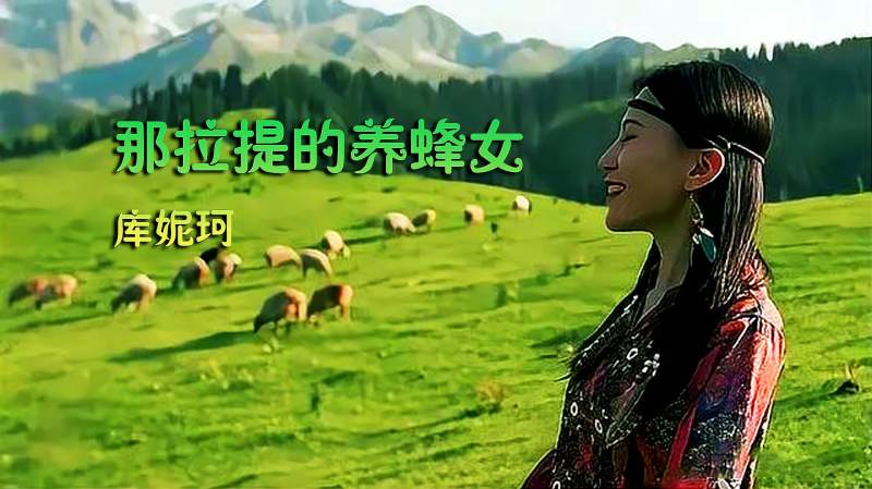 库妮珂演唱的《那拉提的养蜂女,回应《可可托海的