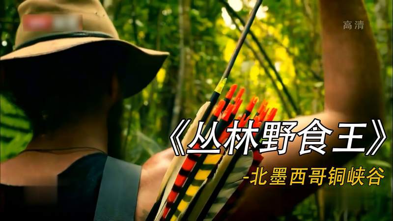 丛林野食王横厨子和猎人一起求生他们会擦出什么样的火花