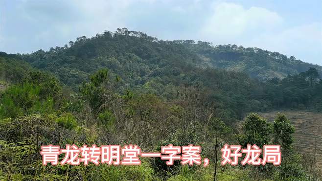 石龙山发脉,青龙过堂一字案,似虾钳地,局美朝案美水有情.