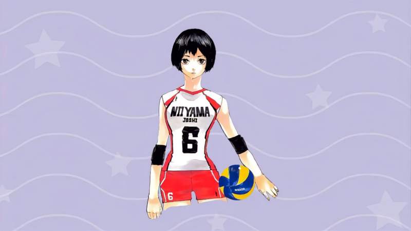 《排球少年！！》天内叶歌：乌野高校的田中龙之介的青梅竹马,动漫,动漫综合,好看视频