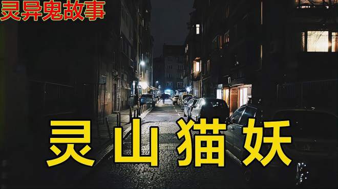 [图]灵异故事《灵山猫妖》，深夜没有一点星光，他开着车行驶在山路上