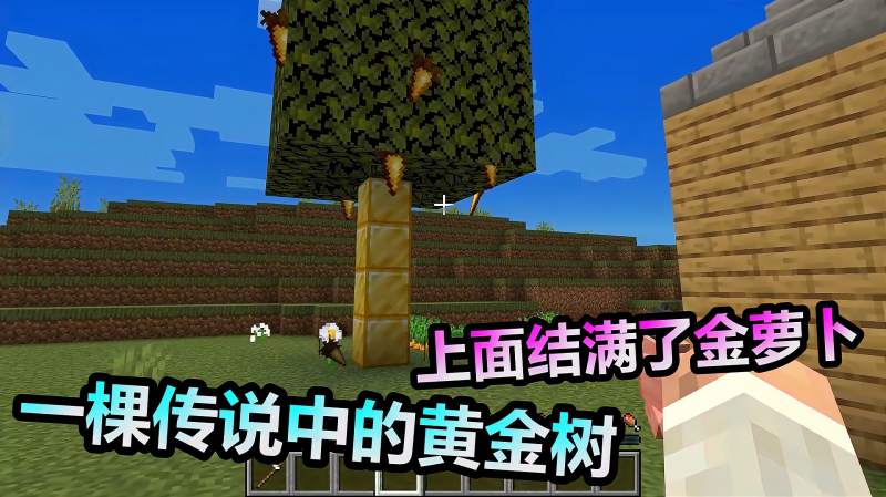 mc我的世界一棵传说中的黄金树树上结满了金萝卜能卖钱
