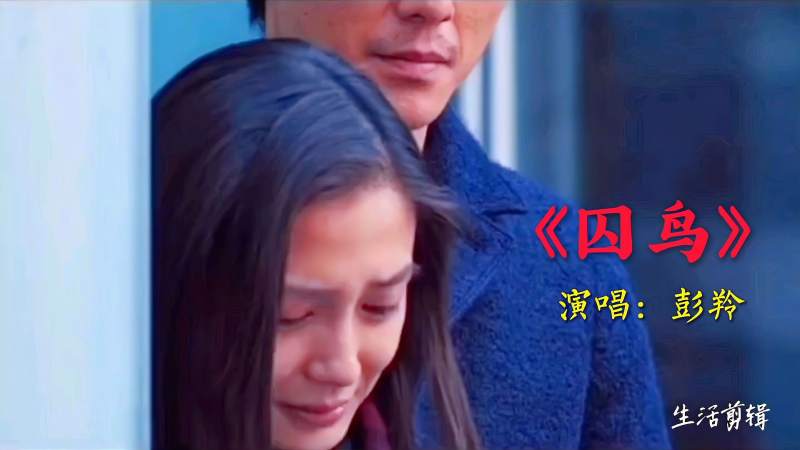 彭羚《囚鸟》,超好听,音乐,流行音乐,好看视频