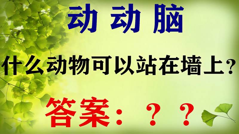 想一想什么动物可以站在墙上答案五花八门