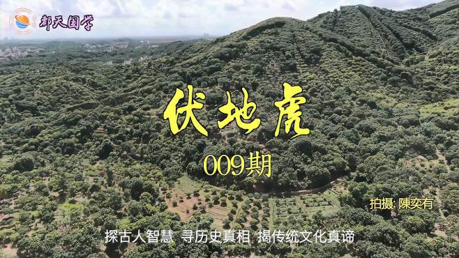 探寻广东粤西邓氏伏地虎