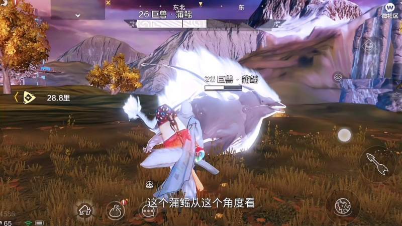 妄想山海蠃鱼家族成员蒲鳐很像白色大蛤蟆