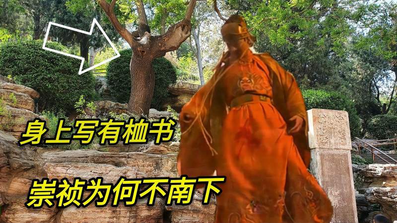 探寻崇祯皇帝上吊自缢的歪脖子树，现仍巍然耸立，当初为何不南下,历史,中国历史,好看视频