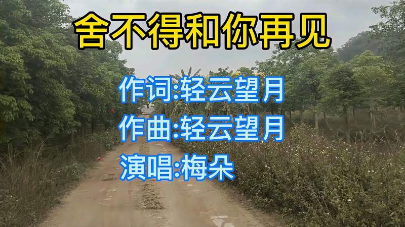 2021催泪新歌梅朵舍不得和你说再见唱哭多少相爱的人