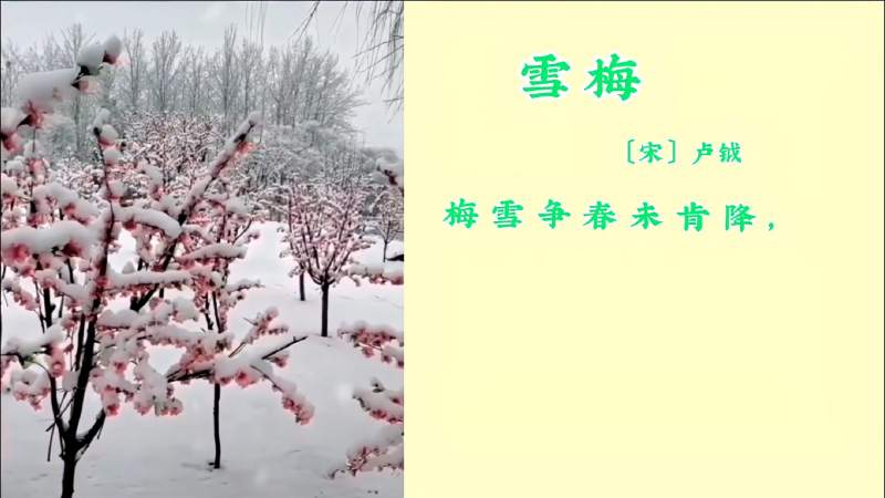 唐诗宋词雪梅宋卢钺