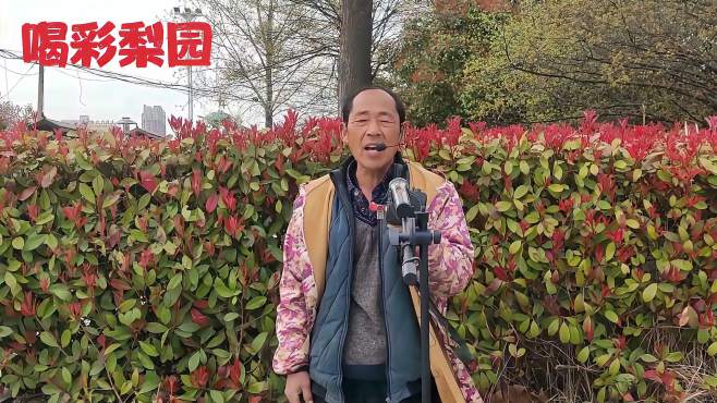 豫剧《赵铁贤哭坟》戏曲爱好者张老师现场即兴演唱.