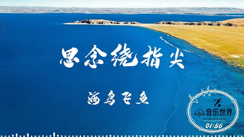 思念绕指尖海鸟飞鱼演唱