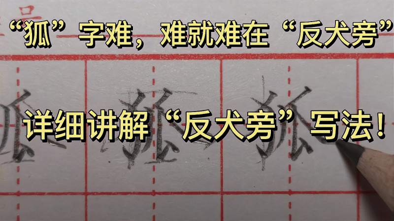 难写的“狐”字，详细教程来了！全面细致地讲解“反犬旁”的写法,文化,艺术,好看视频